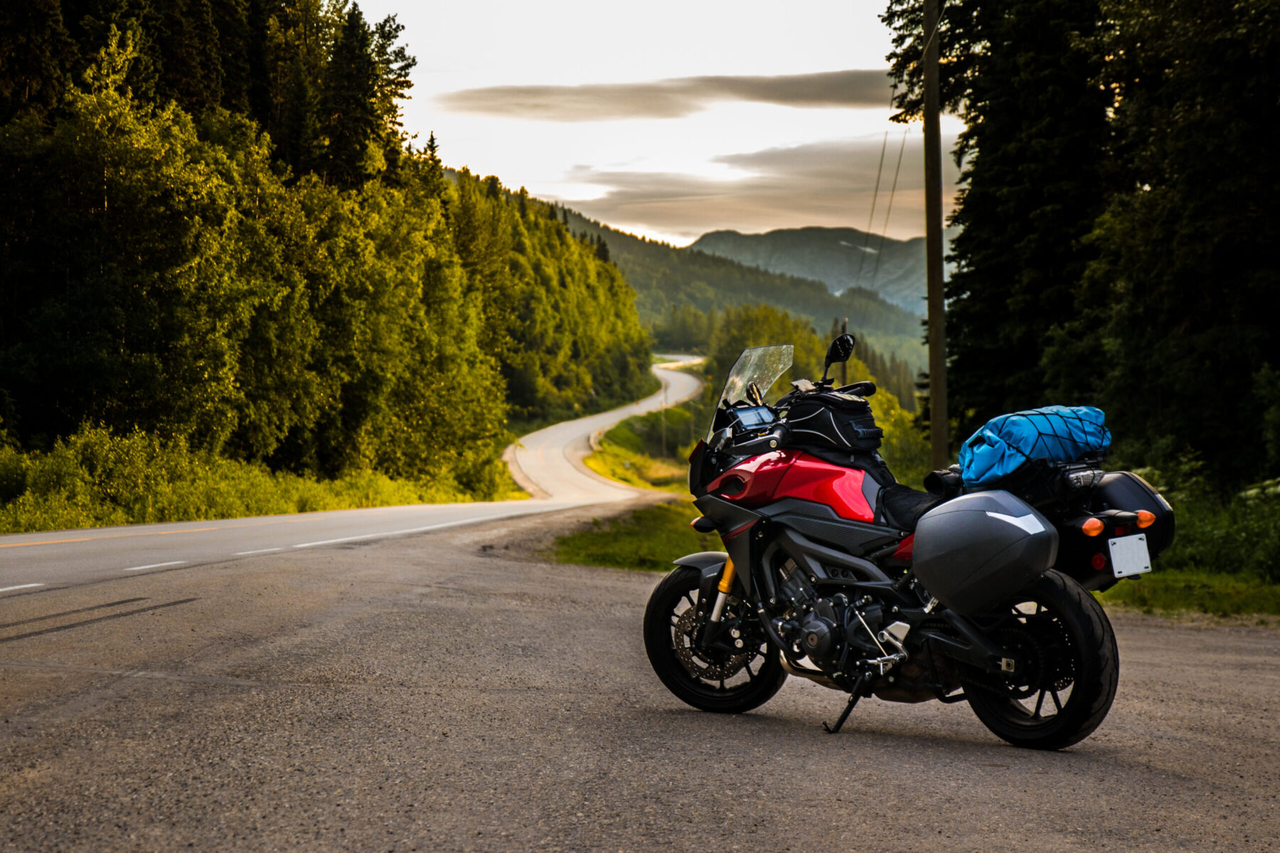 A packed motorcycle is parked on the roadside at the edge of a forest with winding pavement ahead.