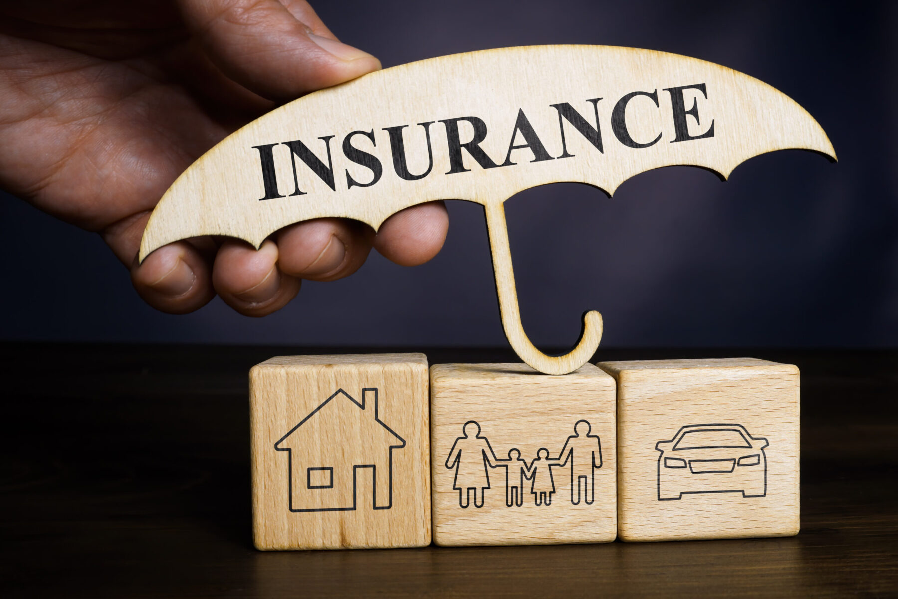 A Hand holds umbrella with word insurance and cubes with home, family and car.